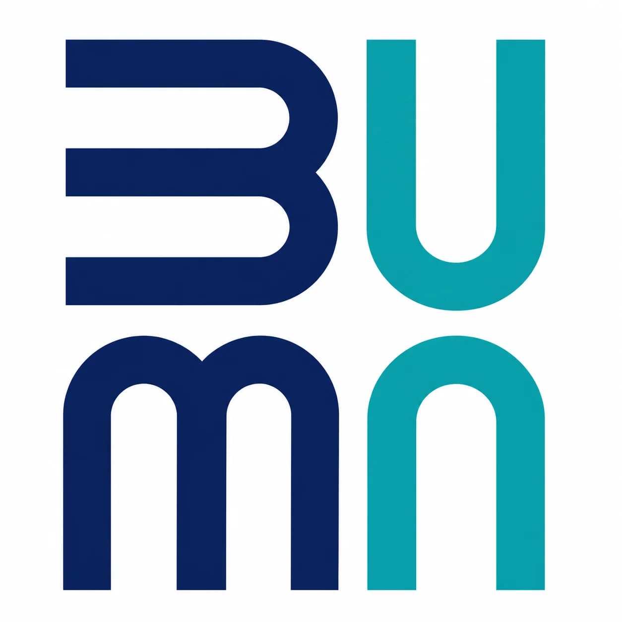 BUMN logo